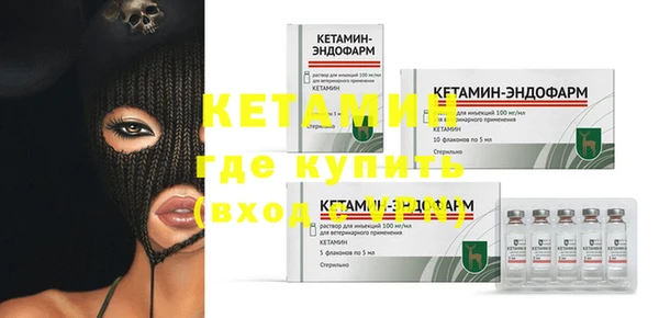 прущие грибы Рославль