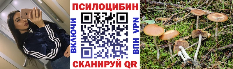 Галлюциногенные грибы MAGIC MUSHROOMS  Среднеколымск 